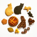 いただいたお声の抜粋